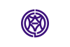 Flag of Shimizu