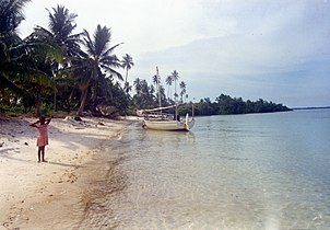 Beach on Mafia Island