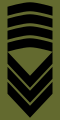 Sersjantmajor (Norwegian Army)[33]