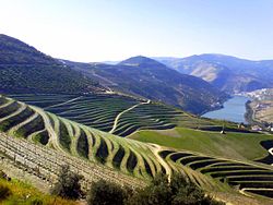 The Douro Valley, where port wine is produced