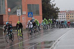 The peloton in Savona