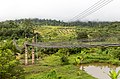 Swinging bridge over Talangkai River.