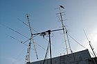 Antennas at a ham operator's station