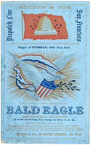 Bald Eagle sailing card