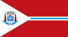 Flag of Suzano
