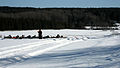 Nordic Rifle Field Shooting in Sweden during the winter in 2012.