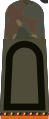 Stabsunteroffizier der Reserve (Army staff sub-officer reservist, service uniform, military police)