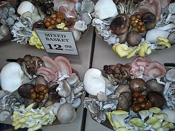 Baskets of mixed culinary mushrooms at the San Francisco Ferry Building