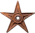 This isn't the generic barnstar, we just don't have a WPTC star yet…