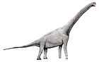 Pelorosaurus brevis