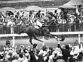Image 40Phar Lap winning the Melbourne Cup, "the race that stops a nation" (from Culture of Australia)