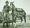 Platoon Sergeant Latham with Sergeant Reckless