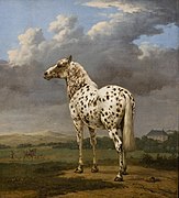 The Piebald Horse (c. 1650–1654)