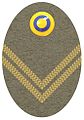 Hat badge (Mössmärke m/1940) for a lieutenant in the army