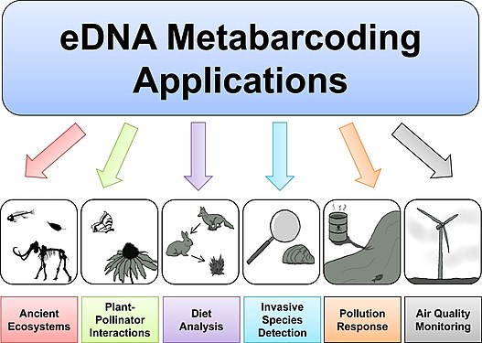 Applications of environmental DNA metabarcoding in aquatic and terrestrial ecosystems