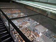 Rokin, Amsterdam: Akkumulationsartige Ausstellung der unter dem Rokin gefundenen archäologischen Artefakte zwischen den Fahrtreppen