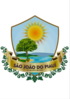 Official seal of São João do Piauí