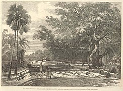 Embankment for the Calcutta Railway, behind the town of Serampore
