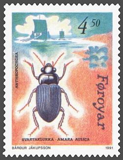 Amara aulica (färöisch svartaklukka), ein von den Wikingern auf den Färöern eingeschleppter Käfer. Briefmarke von 1991.