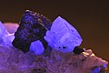 Fluorit (und Galenit) unter UV-Licht violett fluoreszierend