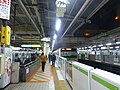 Yamanote Line platform 2 in March 2016 following the addition of low-height platform edge doors
