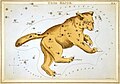 Ursa Major as depicted in Urania's Mirror, a set of constellation cards published in London c.1825