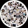 20. A picture of some Diatoms, microscope creatures made of glass.