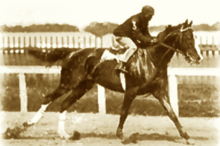 A sepia-toned, black and white photograph showing the horse Aristides galloping down the track of the first Kentucky Derby. The horse was ridden by Jockey Oliver Lewis, who was a black man.