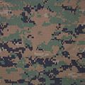 The MARPAT (short for MARine PATtern) is a pixelated camouflage pattern in use with the Ecuadorian Army.