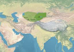 Territory of the Kara Khanid Khanate, c. 1000.[18]
