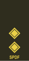Lieutenant (Seychelles Infantry Unit)[71]
