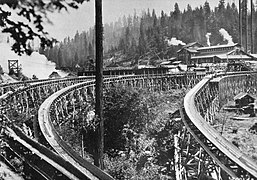 Multiple flume branches leaving the sawmill at Sugar Pine.