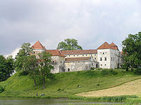 Castle in Świrz