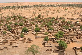 Environmental migration. Sparser rainfall leads to desertification that harms agriculture and can displace populations. Shown: Telly, Mali (2008).[279]