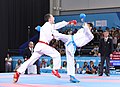 Image 2Bronze medal match at the 2018 Summer Youth Olympics in Buenos Aires, Argentina. (from Karate)
