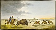 Métis in capotes hunting buffalo in the Red River area (1822)