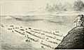 Image 42Depiction of the Donner Party heading west on the California Trail. (from History of California)