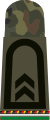 Oberfeldwebel Reserveoffizieranwärter (ROA) (Army staff sergeant, field uniform, mechanized infantry corps, reserve officer aspirant)