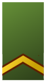 Sergeant (Suriname Army)[81]