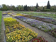 (Old) trials field at Wisley showing some of the hundreds of varieties assessed for the Award of Garden Merit