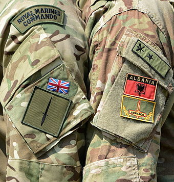The Royal Marines Commando flash and the 3 Commando Brigade flash worn on a sleeve of a Multi-Terrain Pattern (MTP) uniform.