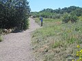 Hiking trail at Rock Park in Castle Rock