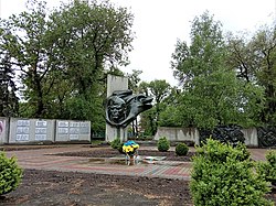 Victory Day, 2020 in Velyka Novosilka