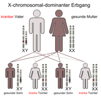X-chromosomal-dominanter Erbgang (bei krankem Vater)