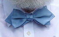 Bow tie, type Diamond Point, silk