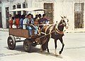 A horse-drawn taxi in Varadero, 1994