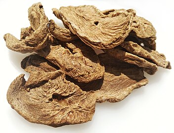 Dried chicory root