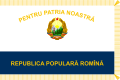 1952 flag of Navy land units (front)