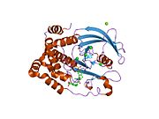 2f71: Protein tyrosine phosphatase 1B with sulfamic acid inhibitors
