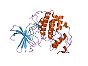2fvd: Cyclin Dependent Kinase 2 (CDK2) with diaminopyrimidine inhibitor